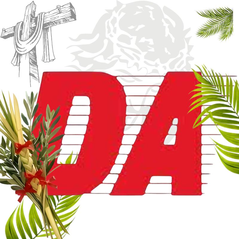 Imagen de actividad 1