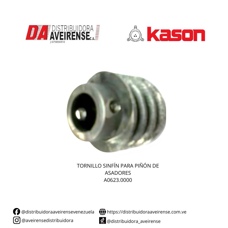 TORNILLO SINFÍN PARA PIÑÓN DE ASADORES A0623.0000.